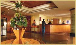 Jumeirah Rotana Dubai Hotel graphics