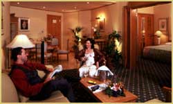 rydges plaza hotel dubai graphics