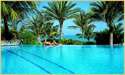 Jebel Ali Palm Tree Court